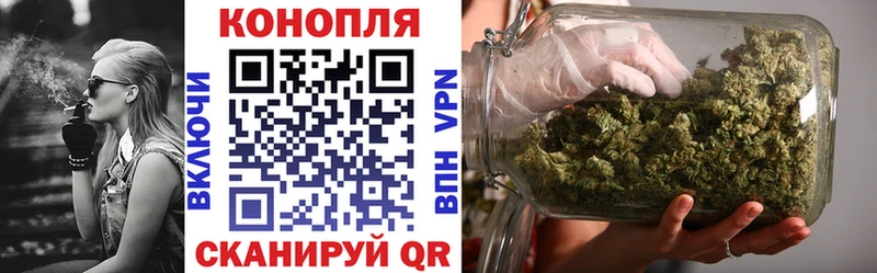 Бошки марихуана гибрид Шенкурск